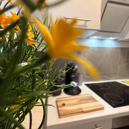 Citynest2 Zentral, Gemuetlich, Gut Ausgestattet Apartmán Rheinbach