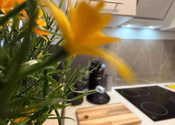 Citynest2 Zentral, Gemuetlich, Gut Ausgestattet 아파트 라인바크